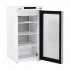 Armoire laboratoire positive vitrée qualifiable ATEX - GRAM - RR 310 LG11 - Porte ouverte