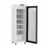 Armoire laboratoire positive vitrée qualifiable ATEX - GRAM - RR 410 LG11 - Porte ouverte