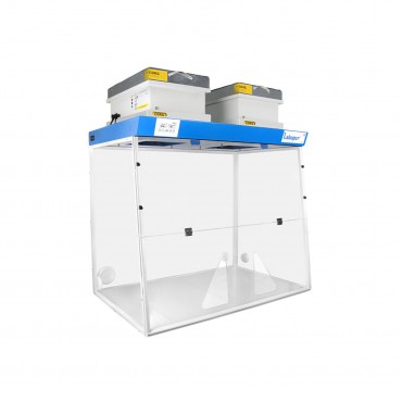 Hotte à filtration H12 2 passages de main avec 2 colonnes de filtration et 2 filtres à charbon